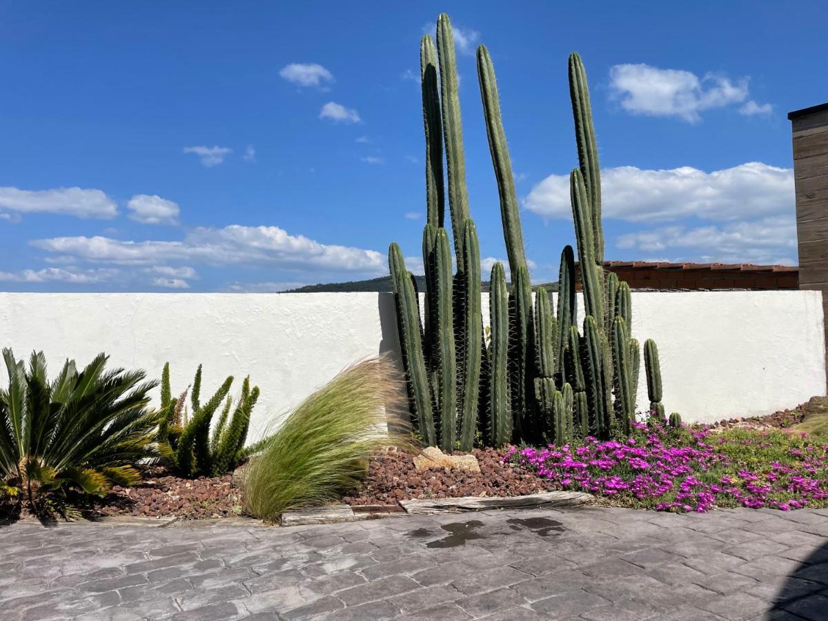 Casa De Los Cactus * Vigo